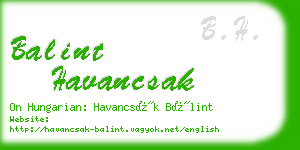 balint havancsak business card